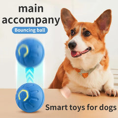 Smart Dog Toy Ball