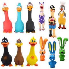 Squeaky Chicken Toys