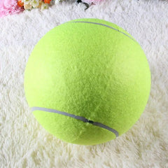 Giant Tennis Ball for Dog